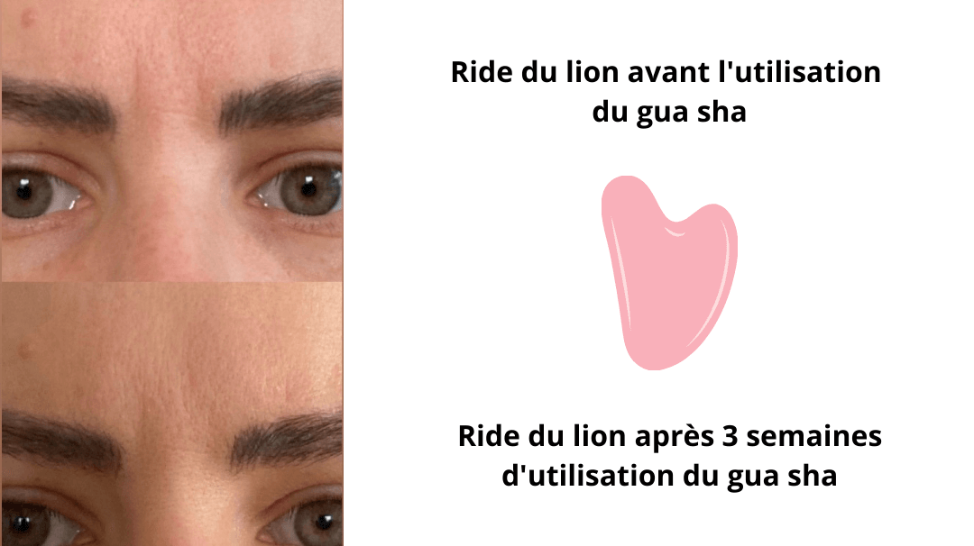ride-du-lion
